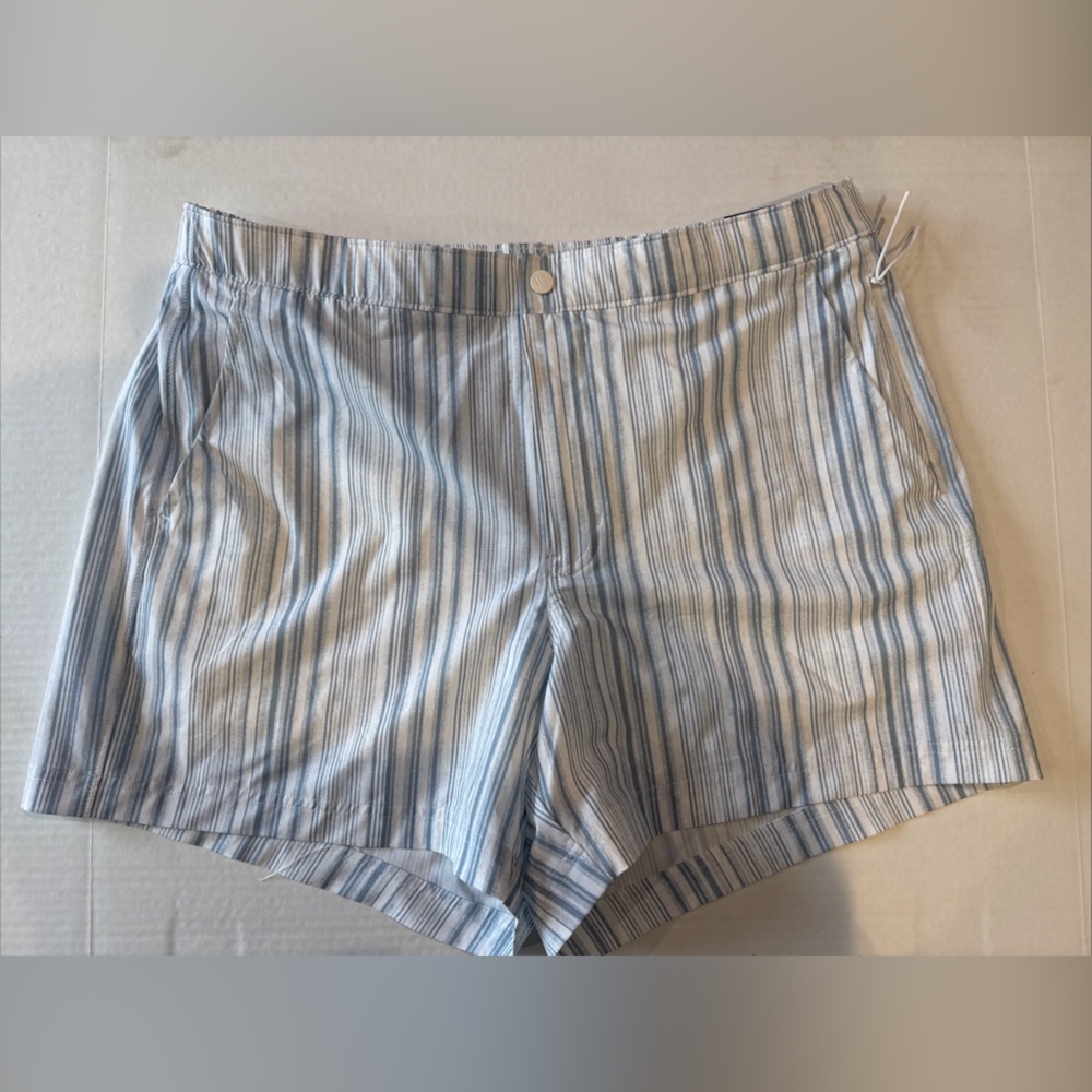 Men's Blue Striped Athletic Shorts VRST